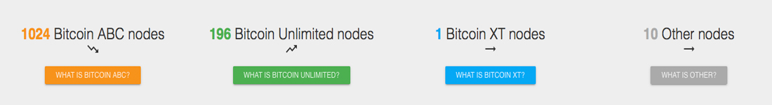 As Blockchains Grow Bigger, Full Node Counts Increase